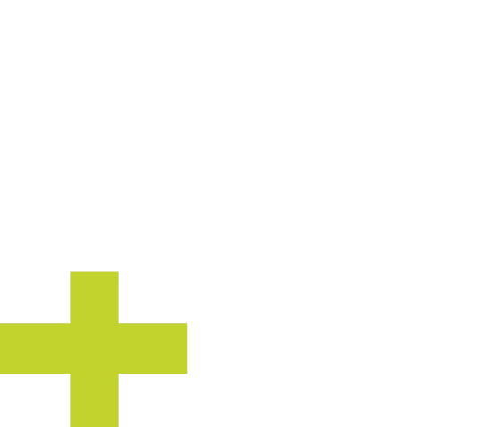 Logo D+ Motorsport